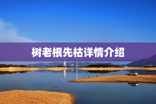 树老根先枯详情介绍