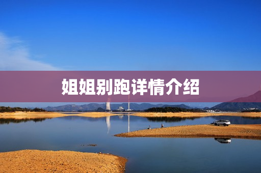 姐姐别跑详情介绍