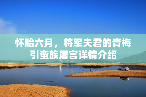 怀胎六月，将军夫君的青梅引蛮族屠宫详情介绍