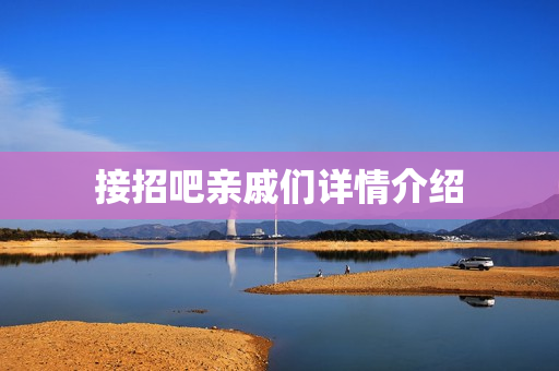 接招吧亲戚们详情介绍