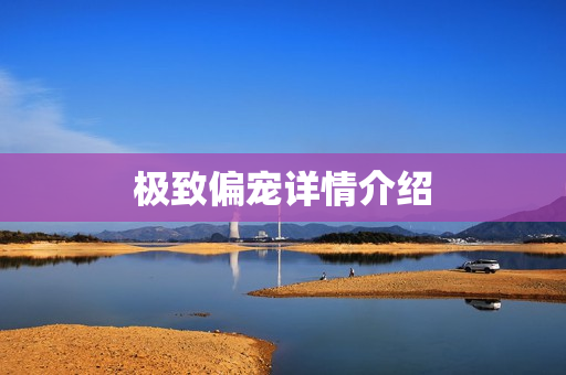极致偏宠详情介绍
