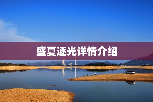 盛夏逐光详情介绍