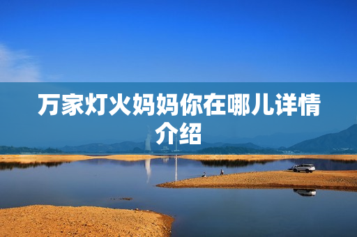 万家灯火妈妈你在哪儿详情介绍