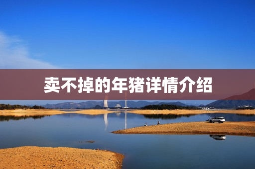 卖不掉的年猪详情介绍