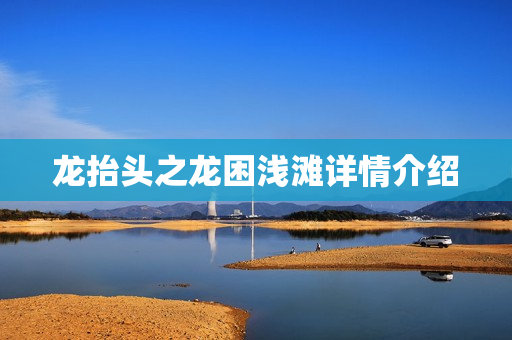 龙抬头之龙困浅滩详情介绍