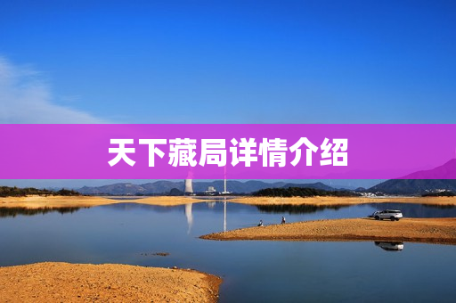 天下藏局详情介绍
