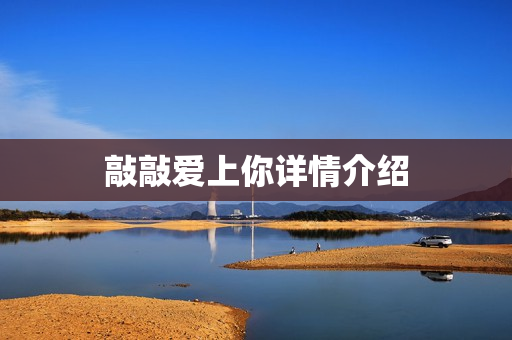 敲敲爱上你详情介绍