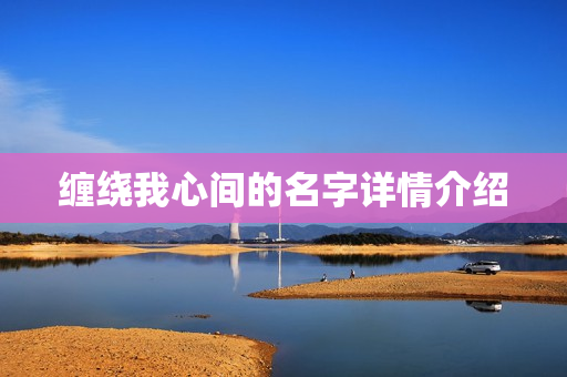 缠绕我心间的名字详情介绍