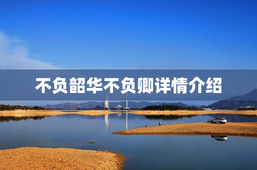 不负韶华不负卿详情介绍