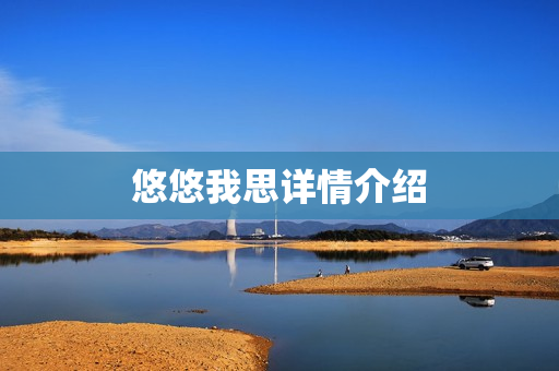 悠悠我思详情介绍