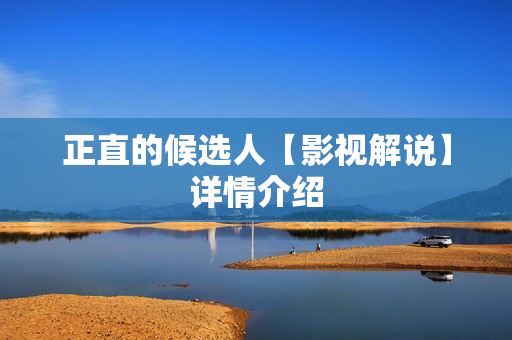 正直的候选人【影视解说】详情介绍