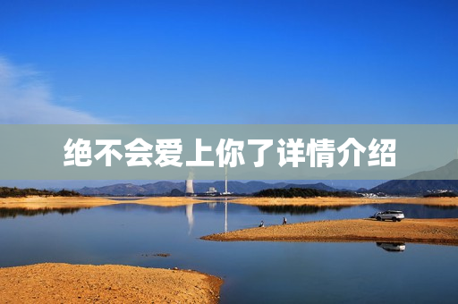 绝不会爱上你了详情介绍