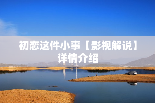 初恋这件小事【影视解说】详情介绍