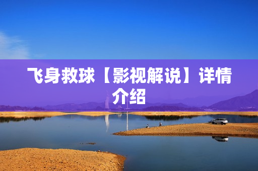 飞身救球【影视解说】详情介绍