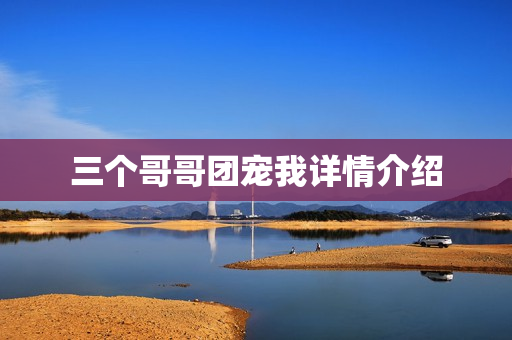 三个哥哥团宠我详情介绍