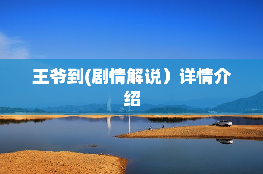 王爷到(剧情解说）详情介绍