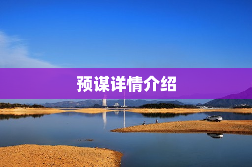 预谋详情介绍