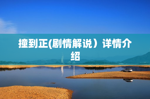 撞到正(剧情解说）详情介绍