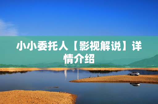 小小委托人【影视解说】详情介绍