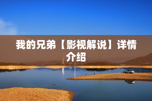 我的兄弟【影视解说】详情介绍