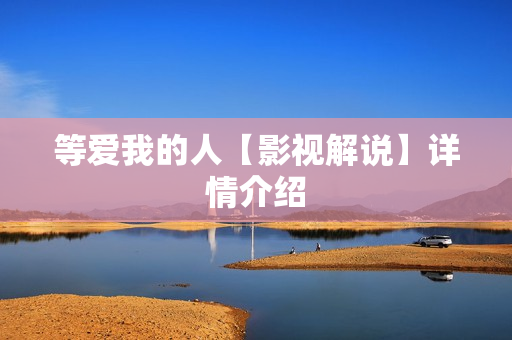 等爱我的人【影视解说】详情介绍