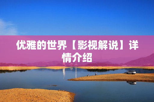 优雅的世界【影视解说】详情介绍