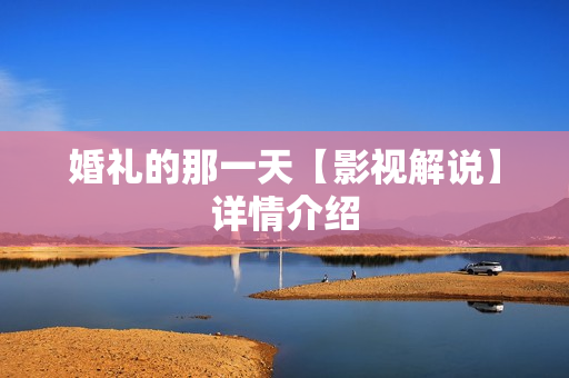 婚礼的那一天【影视解说】详情介绍