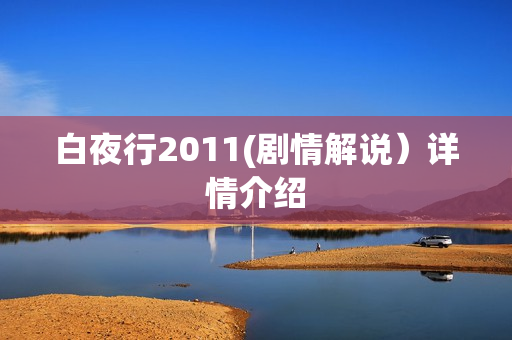 白夜行2011(剧情解说）详情介绍