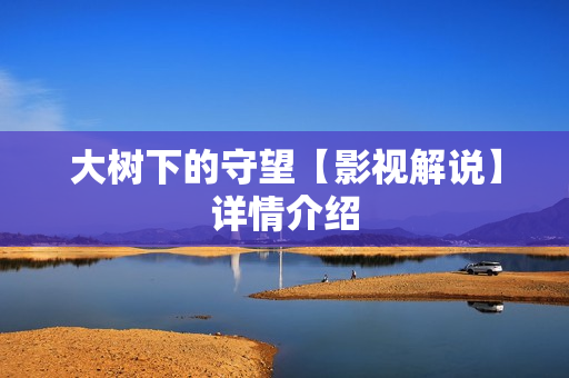 大树下的守望【影视解说】详情介绍