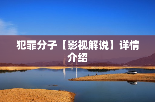 犯罪分子【影视解说】详情介绍