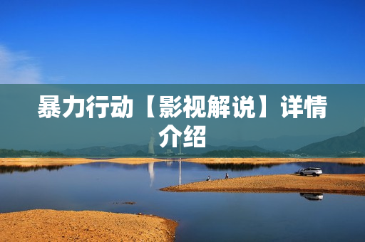 暴力行动【影视解说】详情介绍