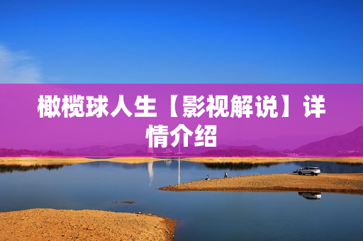 橄榄球人生【影视解说】详情介绍