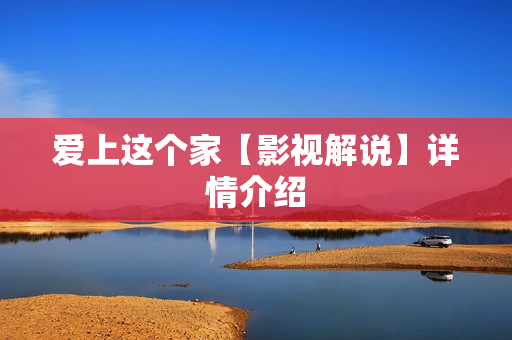 爱上这个家【影视解说】详情介绍