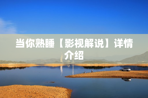 当你熟睡【影视解说】详情介绍