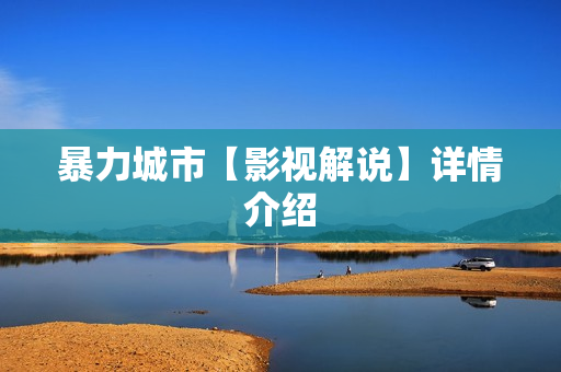 暴力城市【影视解说】详情介绍