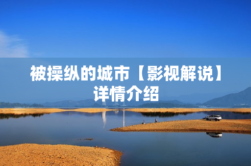 被操纵的城市【影视解说】详情介绍