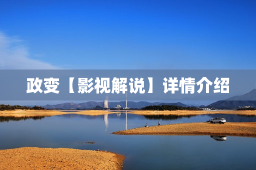 政变【影视解说】详情介绍