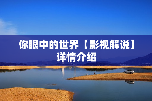 你眼中的世界【影视解说】详情介绍