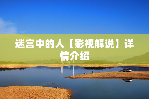 迷宫中的人【影视解说】详情介绍