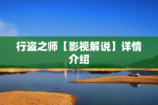 行盗之师【影视解说】详情介绍