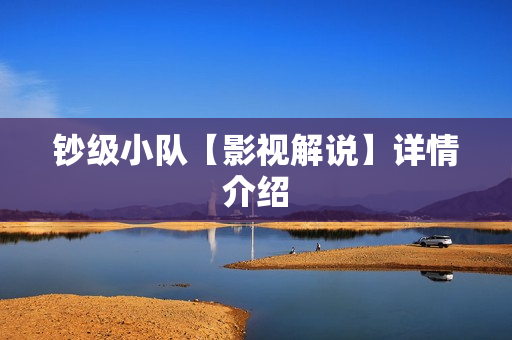 钞级小队【影视解说】详情介绍