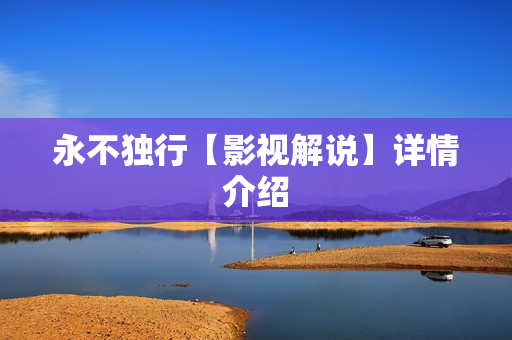 永不独行【影视解说】详情介绍