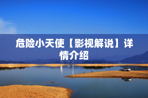 危险小天使【影视解说】详情介绍 危险小天使【影视解说】详情介绍