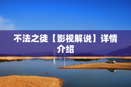 不法之徒【影视解说】详情介绍