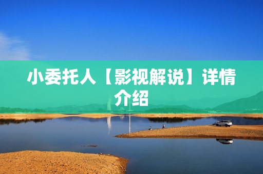 小委托人【影视解说】详情介绍