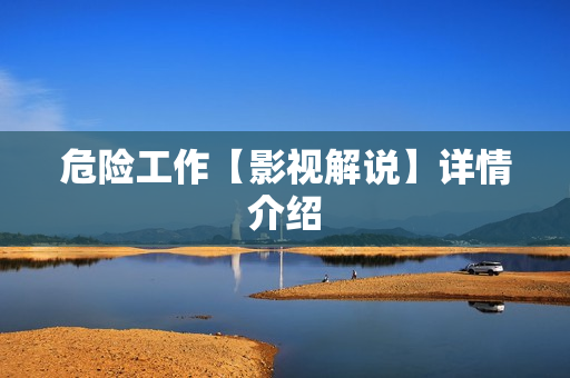 危险工作【影视解说】详情介绍