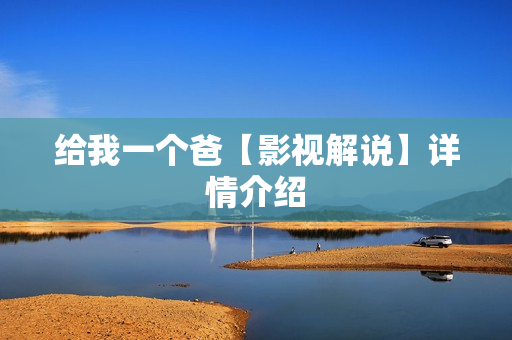 给我一个爸【影视解说】详情介绍