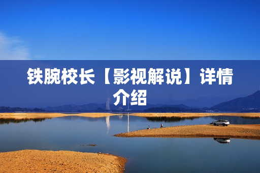 铁腕校长【影视解说】详情介绍