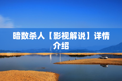 暗数杀人【影视解说】详情介绍