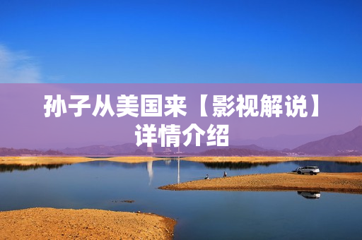 孙子从美国来【影视解说】详情介绍